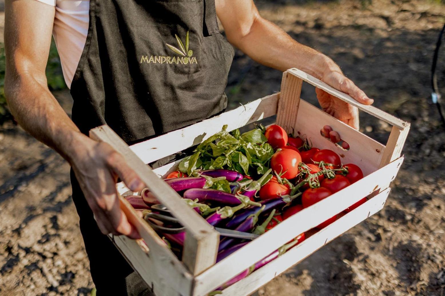 منزل الضيف بالما دي مونتيكارو  في Azienda Agricola Mandranova المظهر الخارجي الصورة