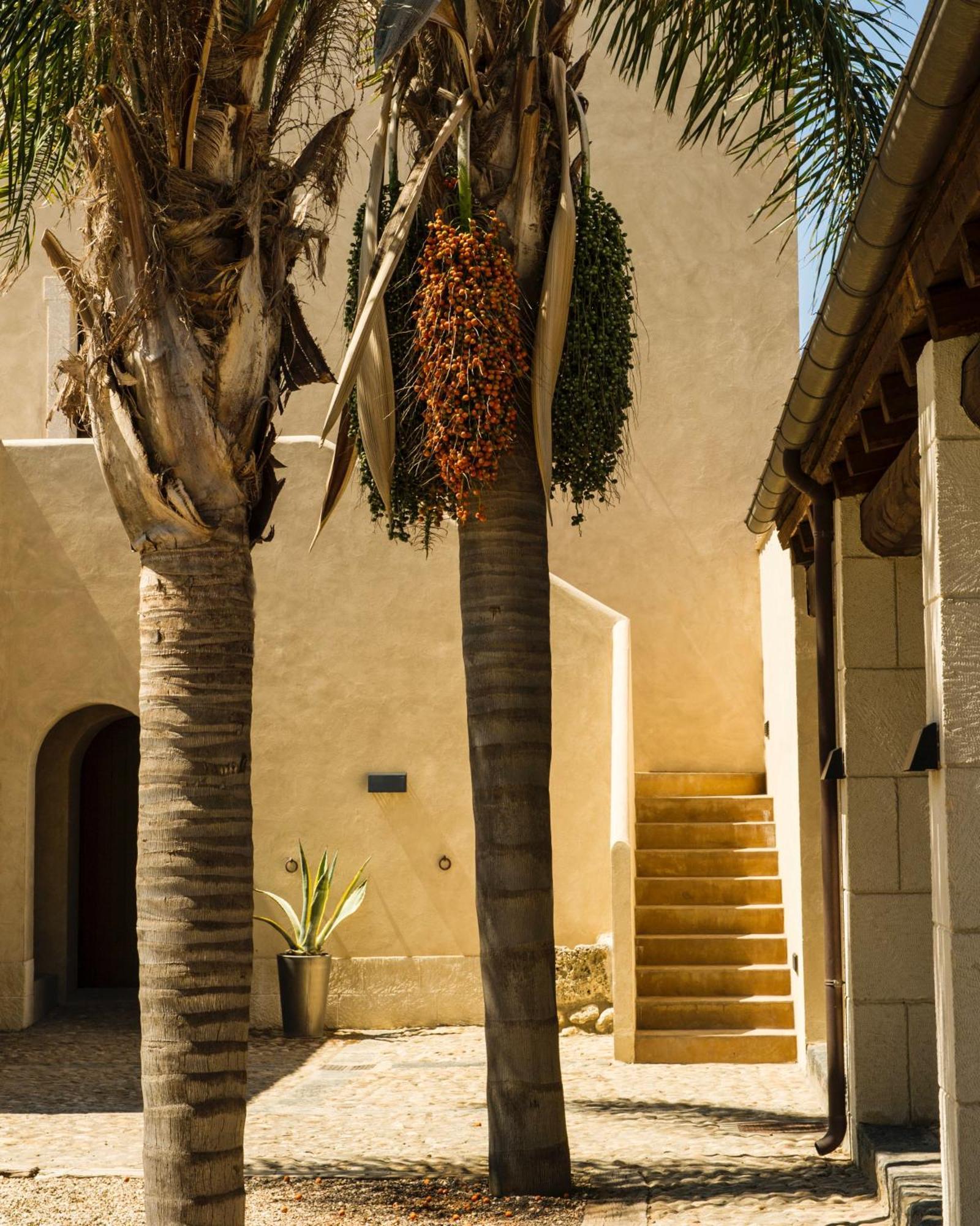 بالما دي مونتيكارو Azienda Agricola Mandranova المظهر الخارجي الصورة