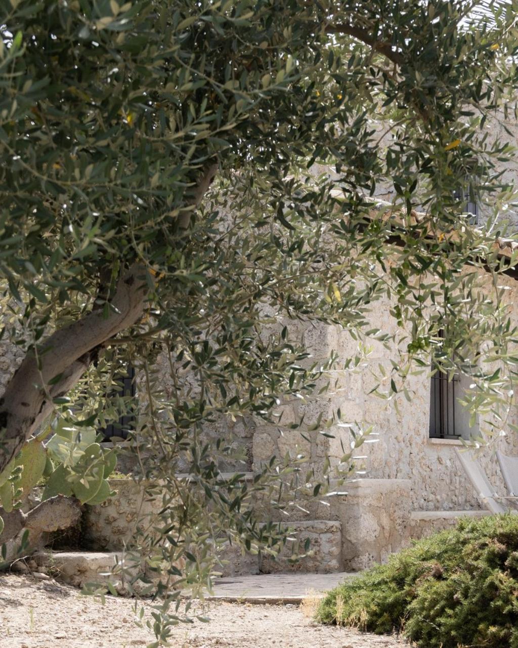 بالما دي مونتيكارو Azienda Agricola Mandranova المظهر الخارجي الصورة
